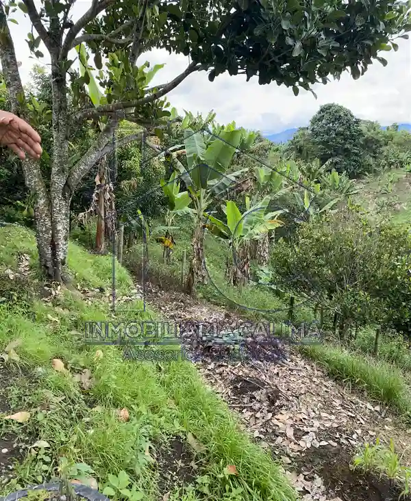 Casa Campestre, Circasia